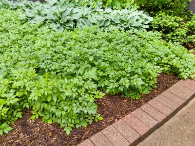 Brick Hardscape Construction in Nashua, NH