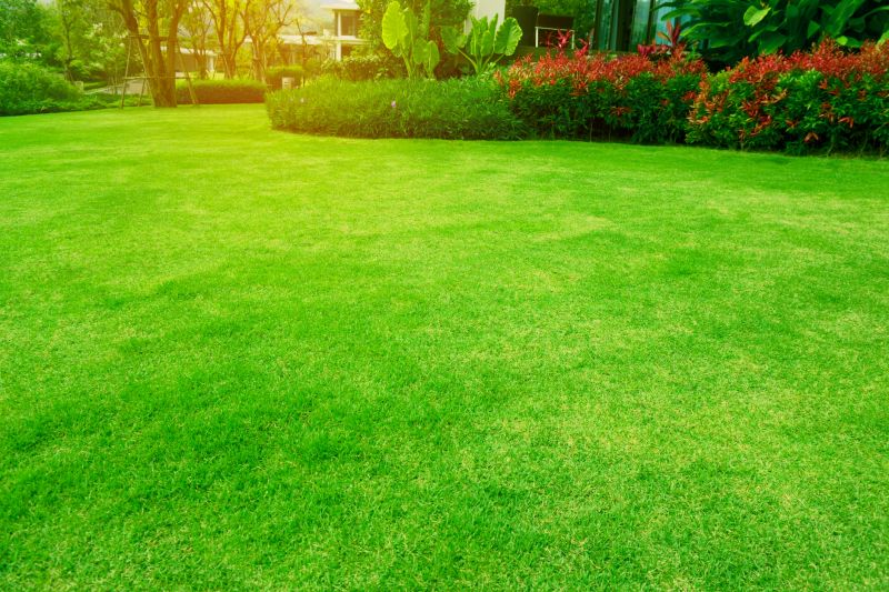 Clean and Maintained Lawn